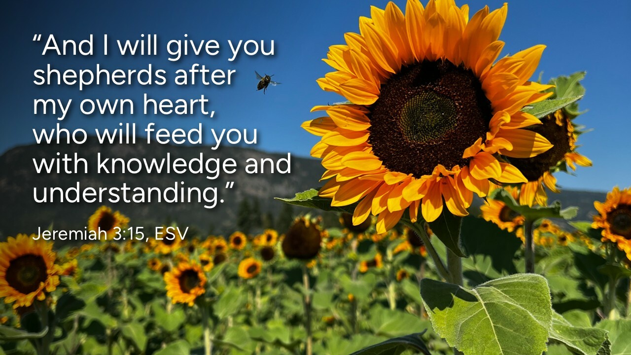 Slideshow image