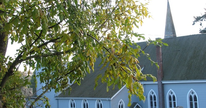 Bulletin for the Twenty-Second Sunday after Pentecost, October 25, 2026 image