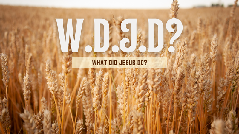 W.D.J.D?