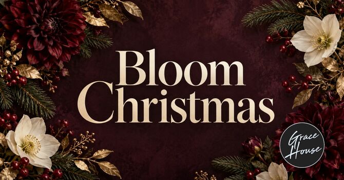 Bloom Christmas