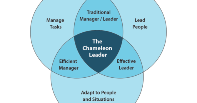 Chameleon Leadership Training