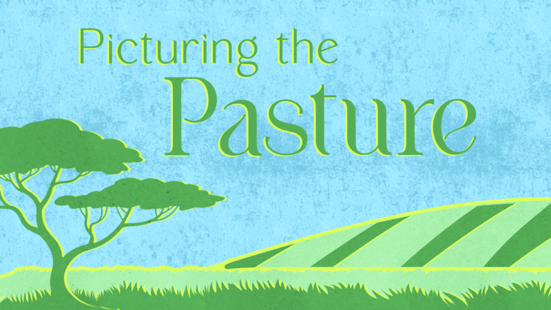 Picturing the Pasture