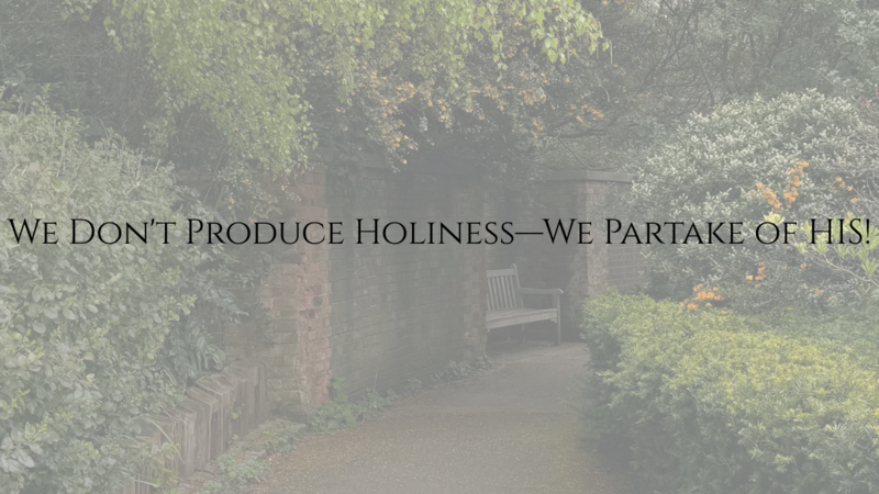 The Father's Love: Training Us to Reflect His Holiness, Hebrews 12:4-11