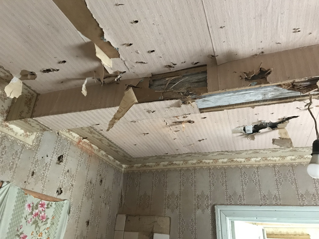 Slideshow image