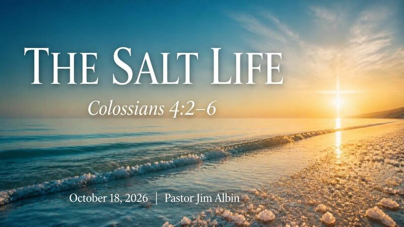 The Salt Life