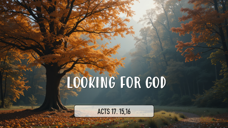 Looking for God