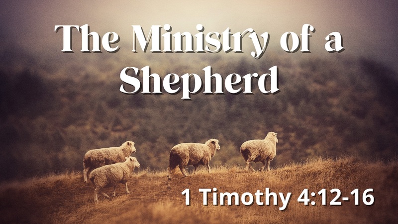 The Ministry of a Shepherd