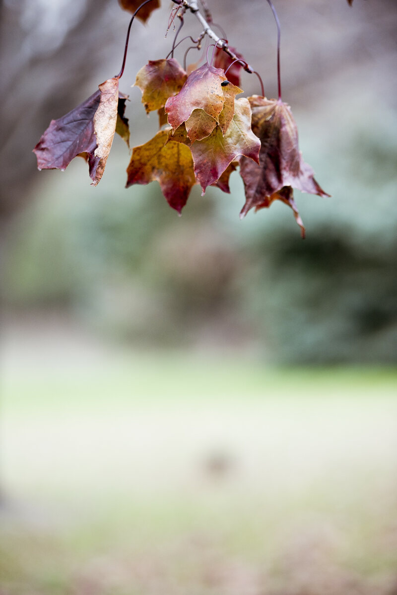 Service for October 25, 2026