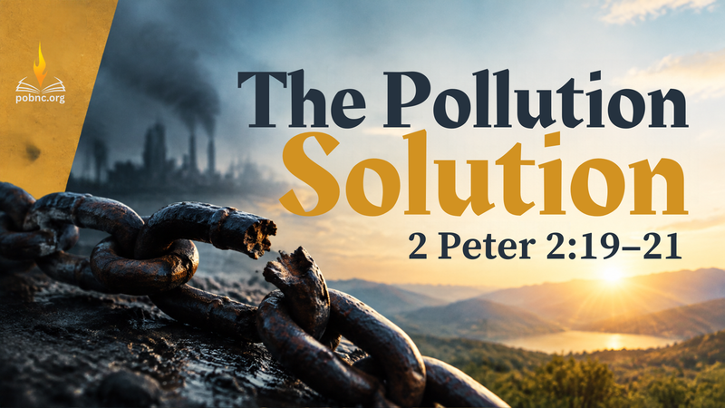 The Pollution Solution