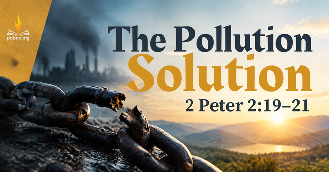 The Pollution Solution
