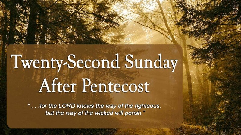 22nd Sunday after Pentecost