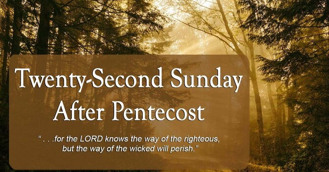 22nd Sunday after Pentecost