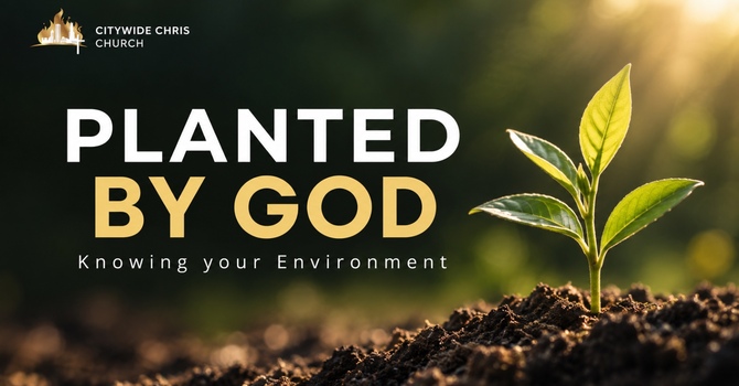 Planted By God
