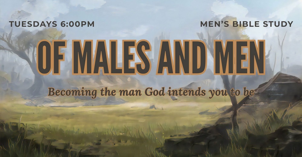 Men’s Bible Study