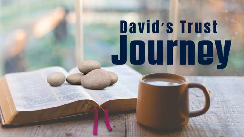David's Trust Journey 