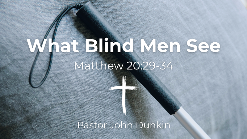 What Blind Men See