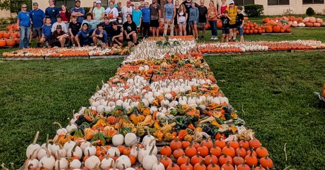 Pumpkin Patch is Here!