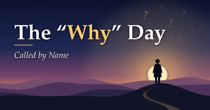 The "Why" Day