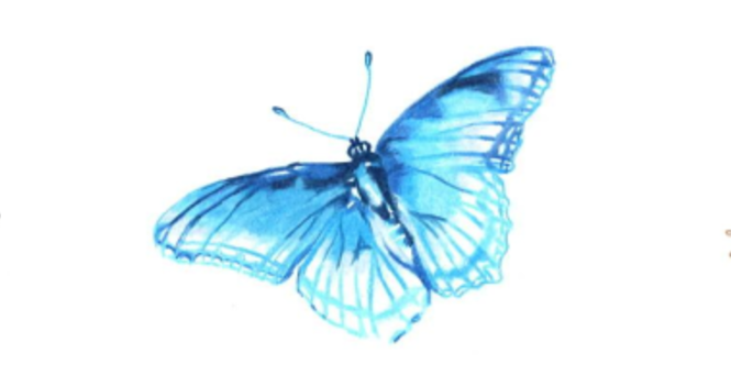 Narrating Your Grief conference canceled