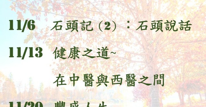 常青坊 - 2026年11月活動
