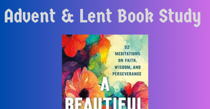 A Beautiful Year: Book study