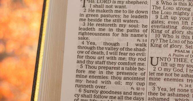 Bible Exploration