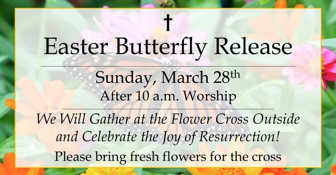 Butterfly Release