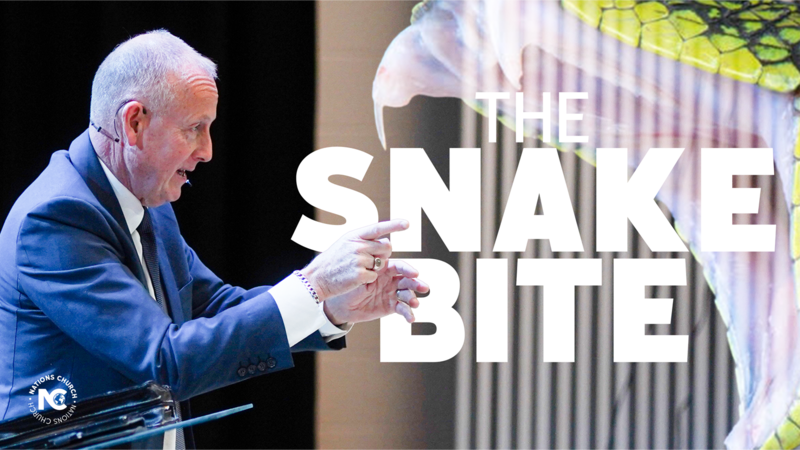  The Snake Bite | Tim Stokoe