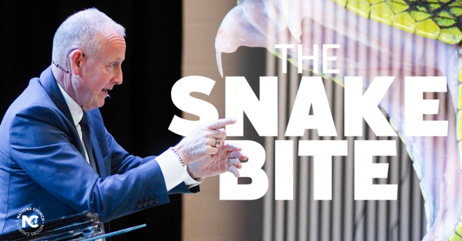  The Snake Bite | Tim Stokoe