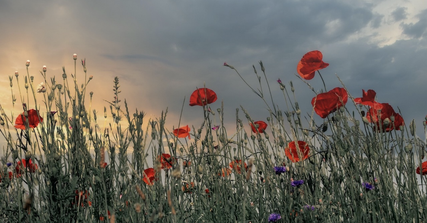 Slideshow image