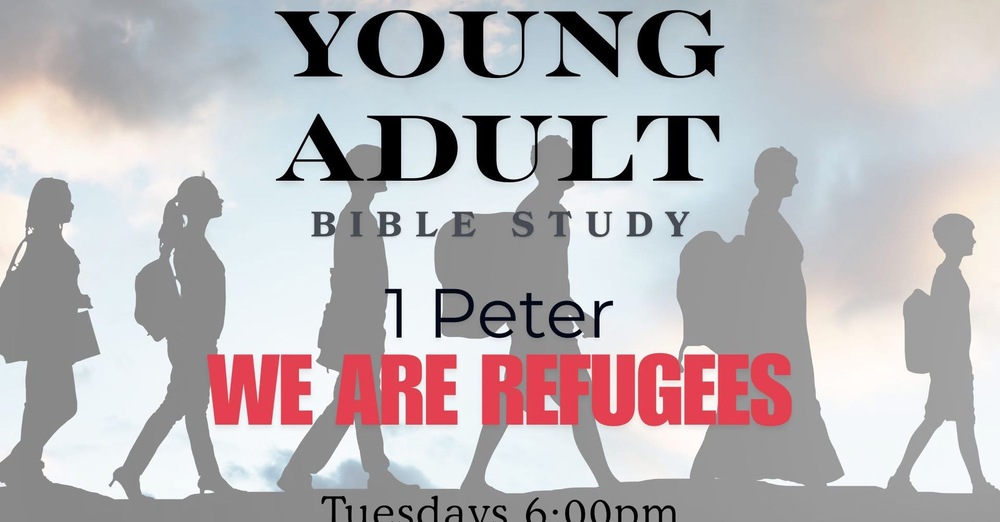 Young Adult Bible Study