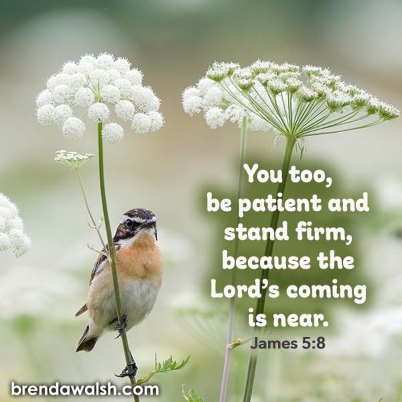 Living in Light of the Coming Kingdom