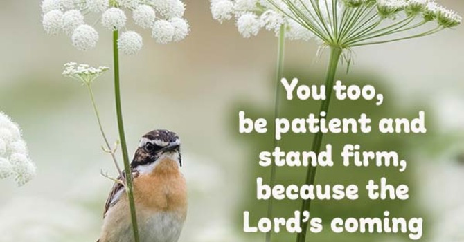 Living in Light of the Coming Kingdom