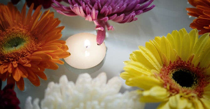 Celebration of Life for Vivienne Mitchell