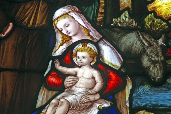 Sale of Christmas Cards & Cathedral Books