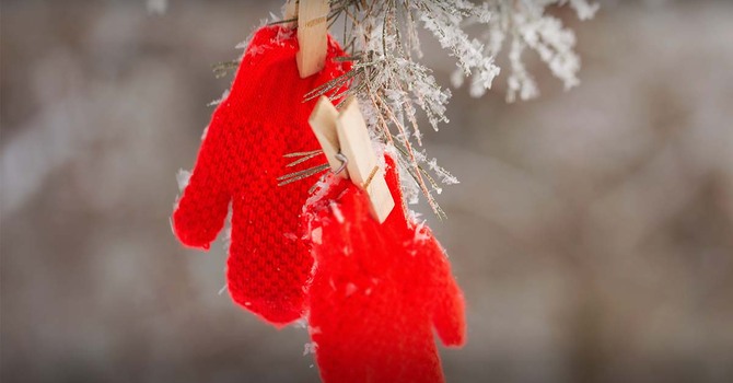 Mitten Tree Starts