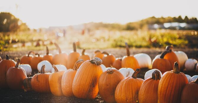 News for October 30th