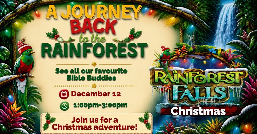 Rainforest Falls Christmas