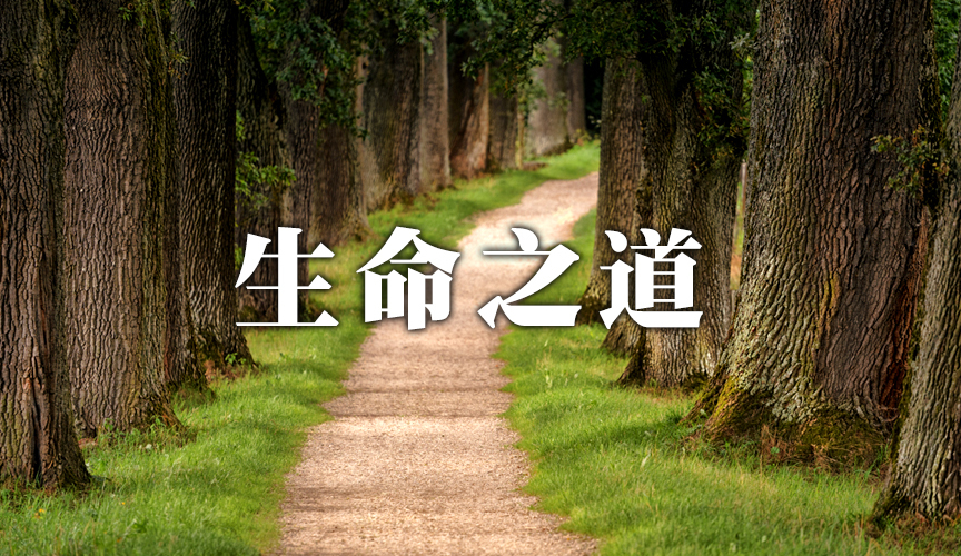 生命之道查經 | Koinonia Evangelical Church | 歌鄰基督教會