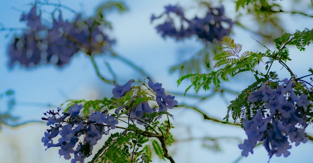 Contemplative Service Team Meeting