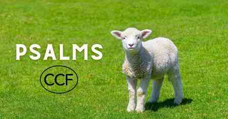 Psalms