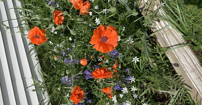 Lend a Hand this Halloween: Help clean up the Vestry, 6 pm image