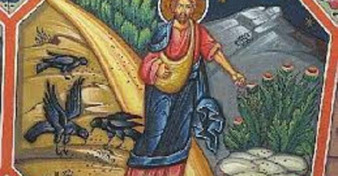 6t Sunday after Pentecost 