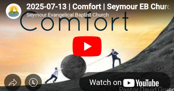  Comfort 