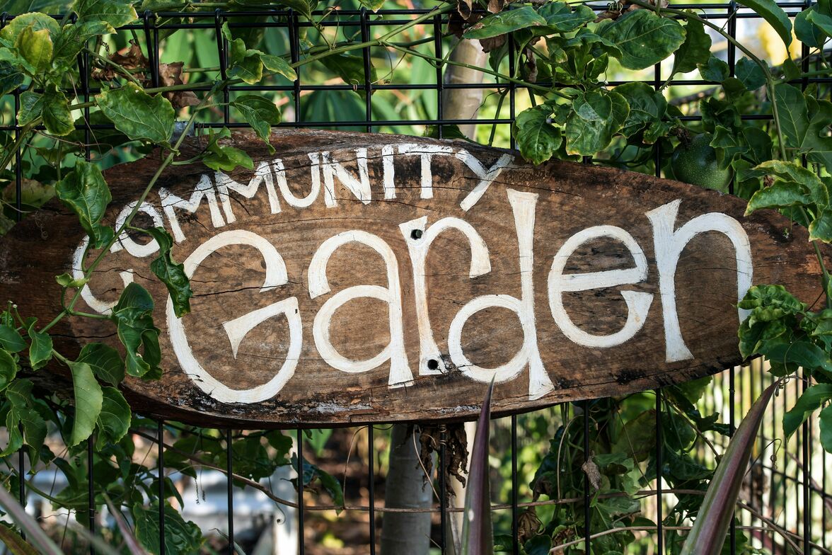 A sign for a community garden. Image by David Clode on Unsplash