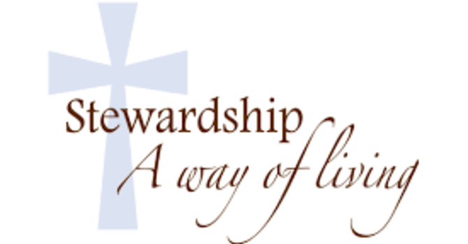 Stewardship Corner - August 3, 2025 image