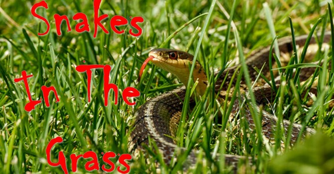 Joshua: Strong and Courageous: Snakes In the Grass