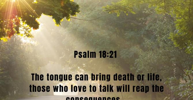 Psalm 18:21  image