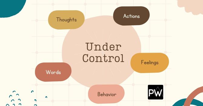 Under Control image