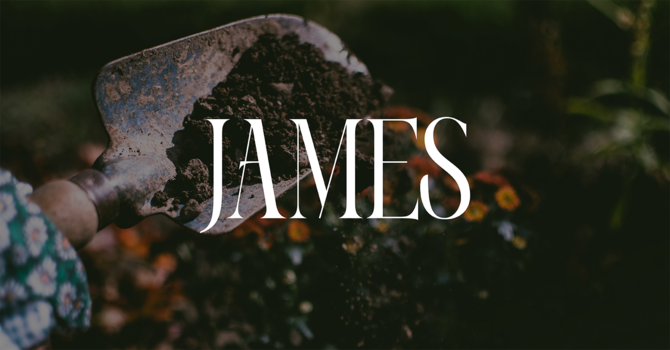 Riches, Justice, and Judgment